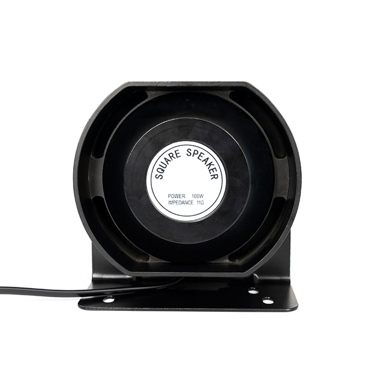 Pembesar Suara 100W